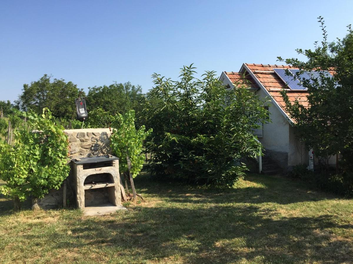 Csobanc Szerelem-Nemzeti Park-Oenallo Haz - Klimatizalt Gyulakeszi Exterior foto