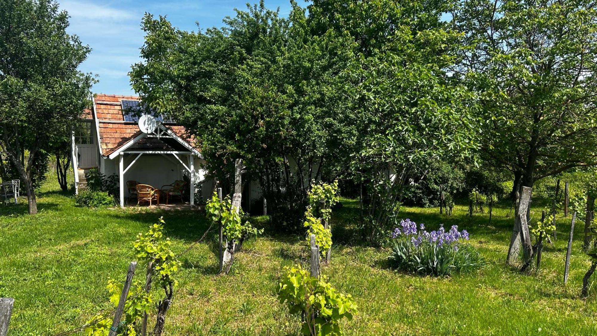Csobanc Szerelem-Nemzeti Park-Oenallo Haz - Klimatizalt Gyulakeszi Exterior foto